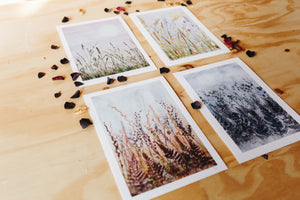 Giclee Prints