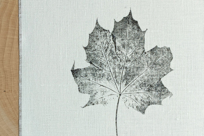 Nature Prints