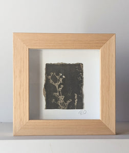 Reeds and Phragmite Mini Artwork