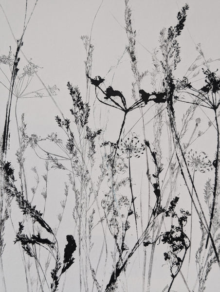 Meadow Original Monoprint