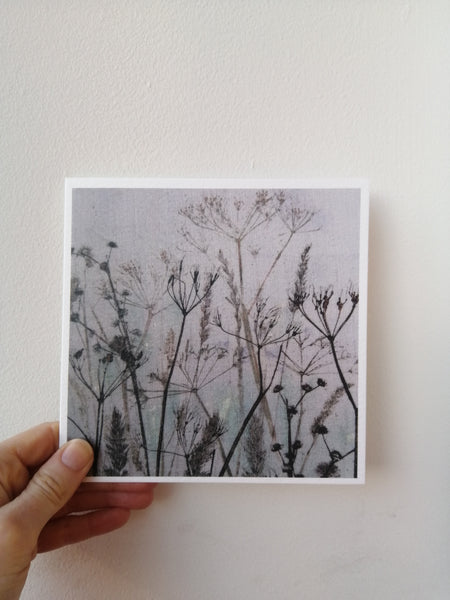 Verge at Dusk Greetings Card