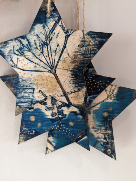 Winter Star Decorations